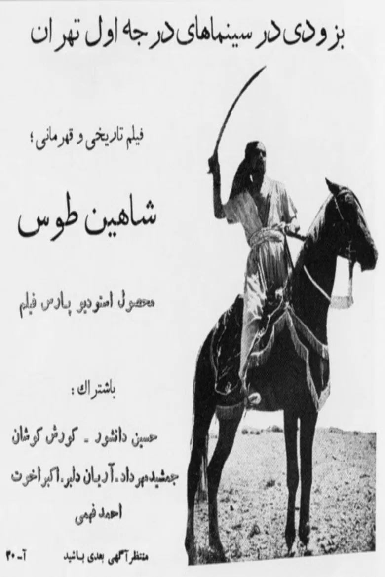 Shahin Toos poster background