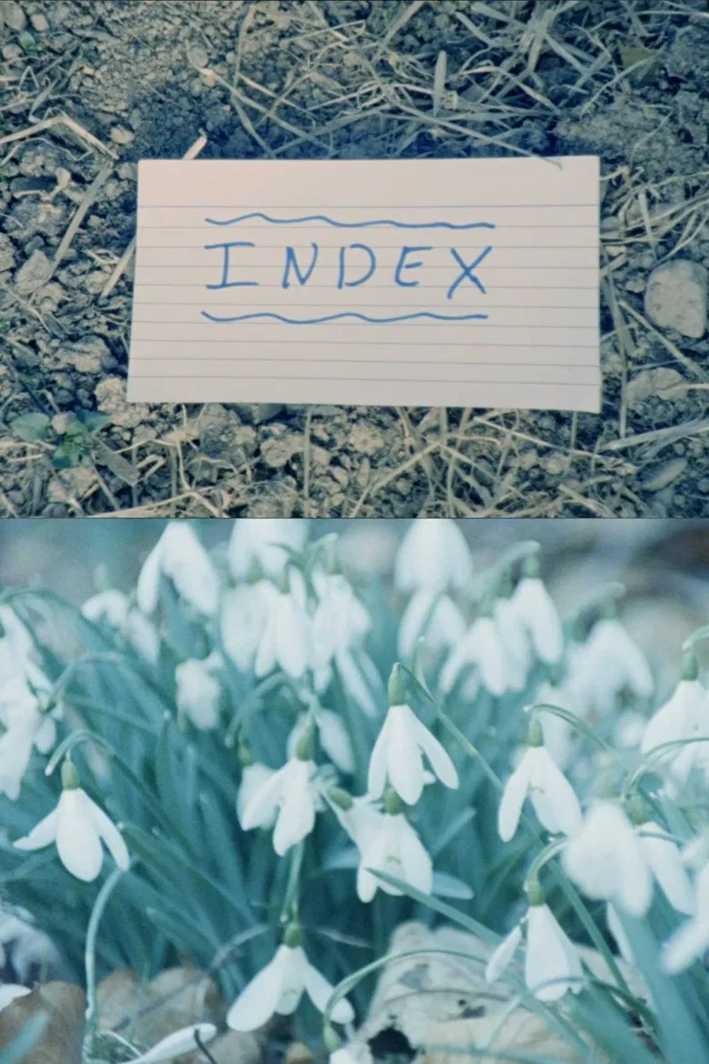 Index poster background