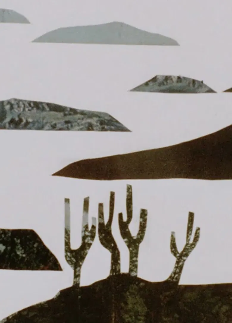 The Wanderings of Ulick Joyce poster background