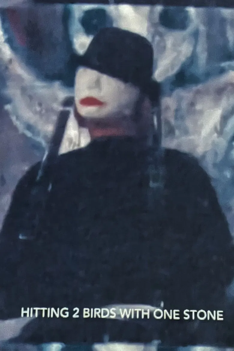 Hitting Two Birds With One Stone poster background