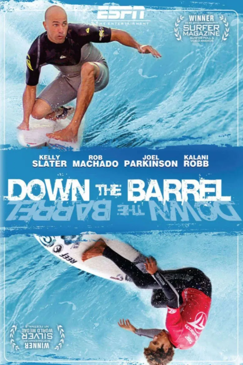 Down the Barrel poster background