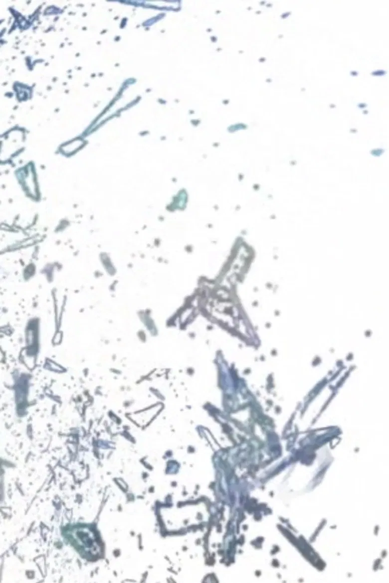 VE poster background