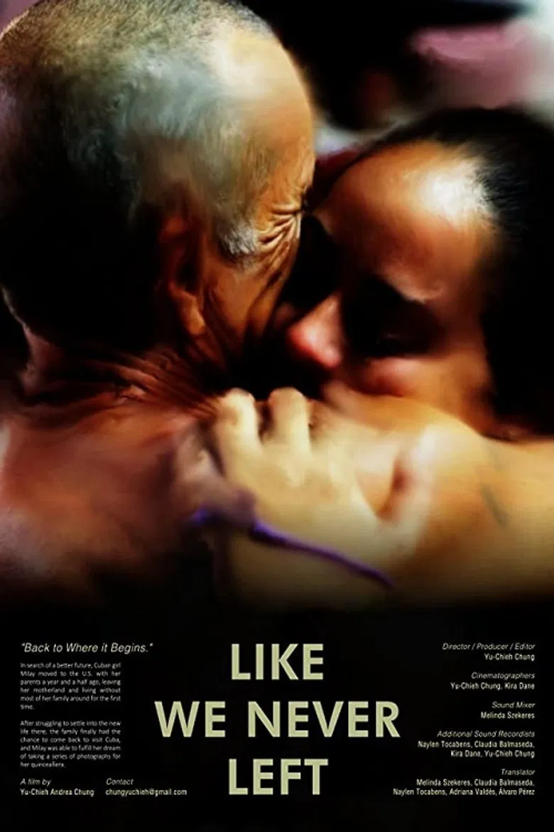 Like We Never Left poster background