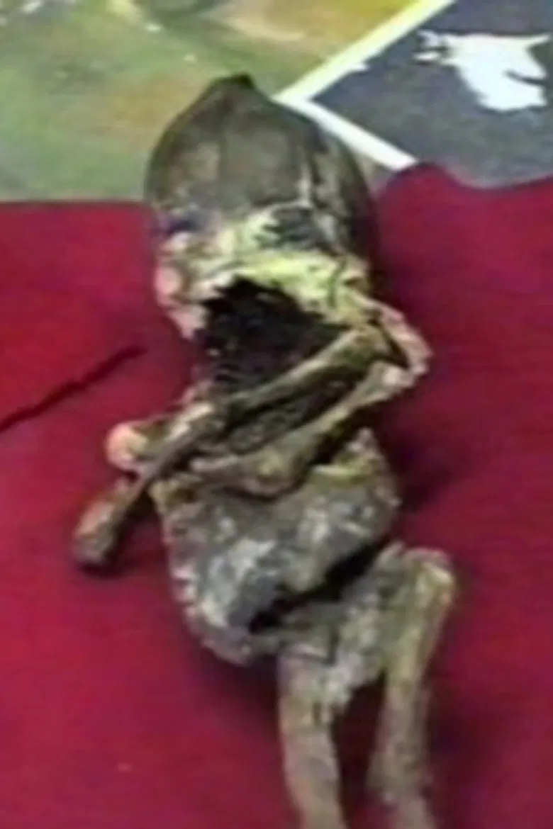 Kyshtym Dwarf poster background