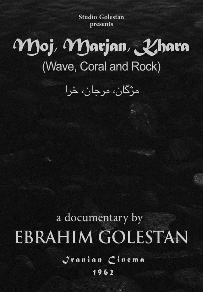 Wave, Coral and Rock poster background