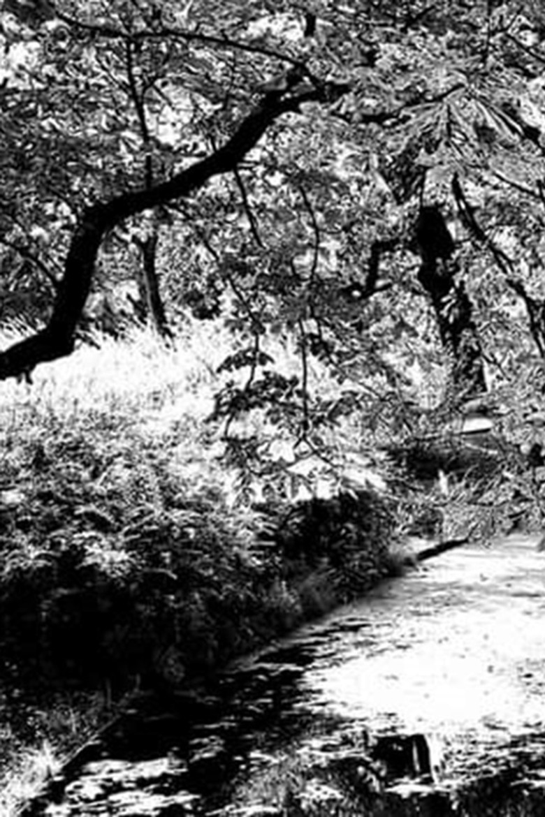 Joost poster background