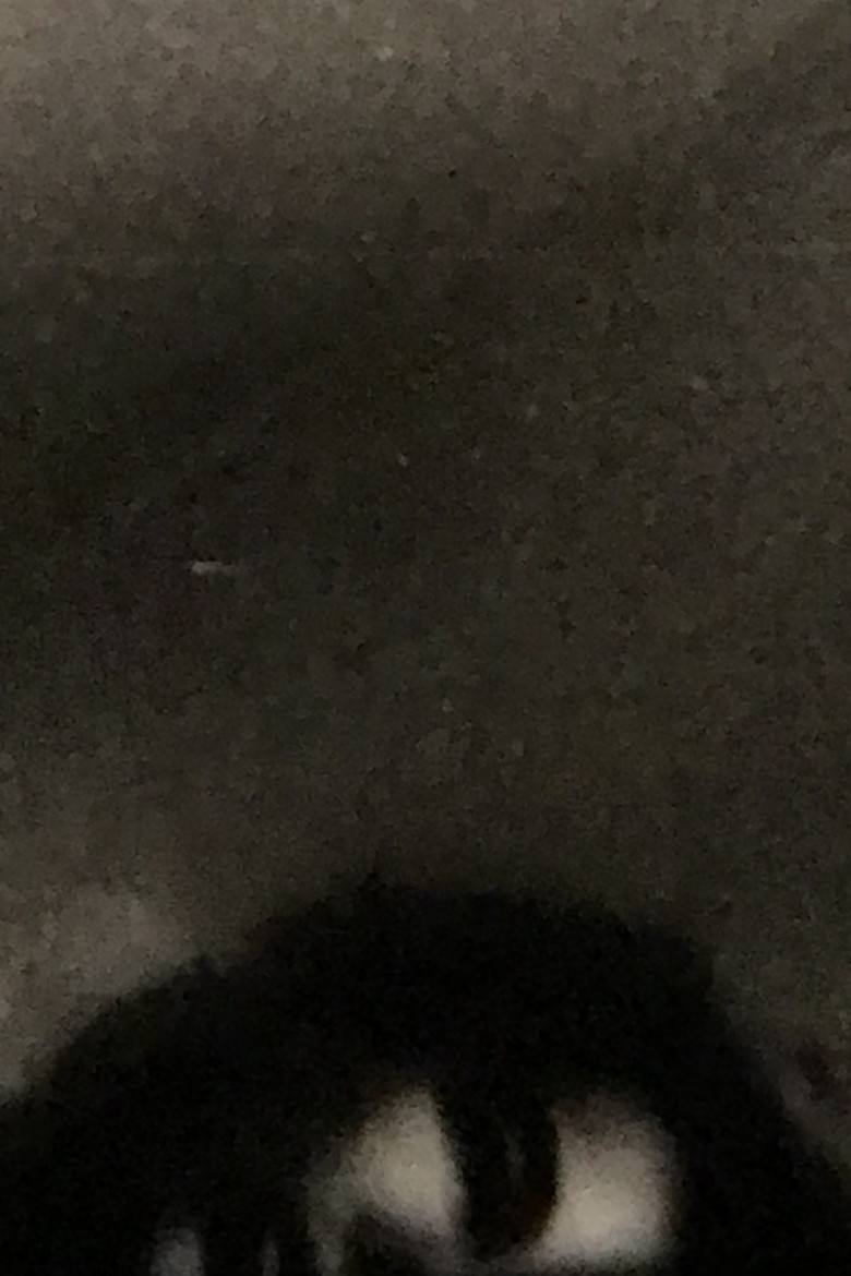 Living & Glorious poster background