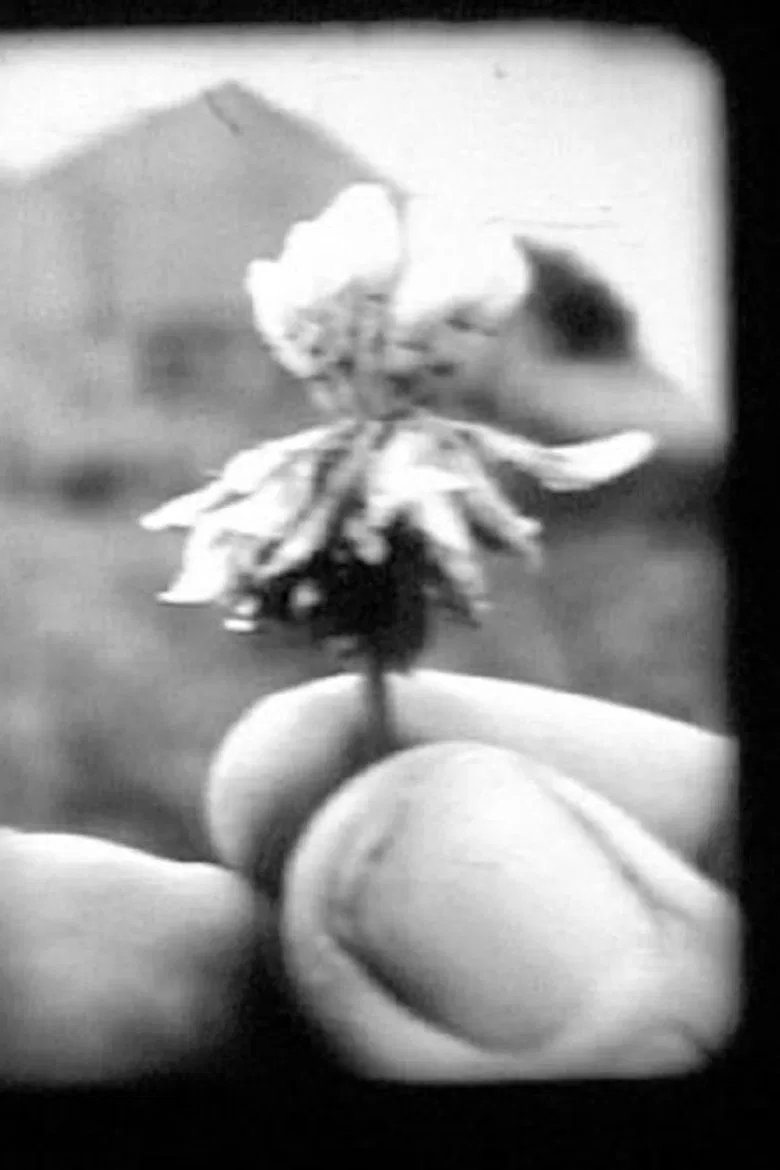 Traces poster background