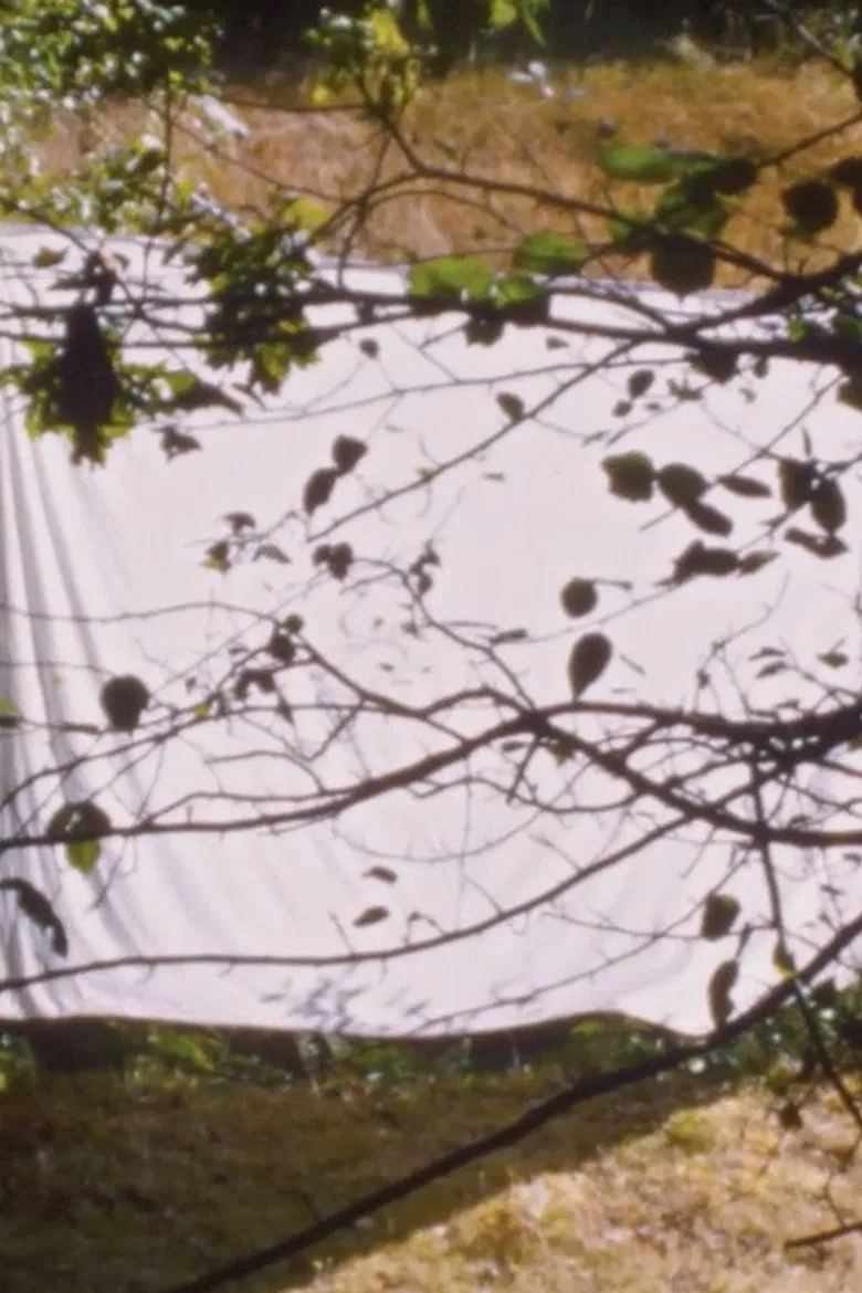 White Screen (for Amy Halpern) poster background