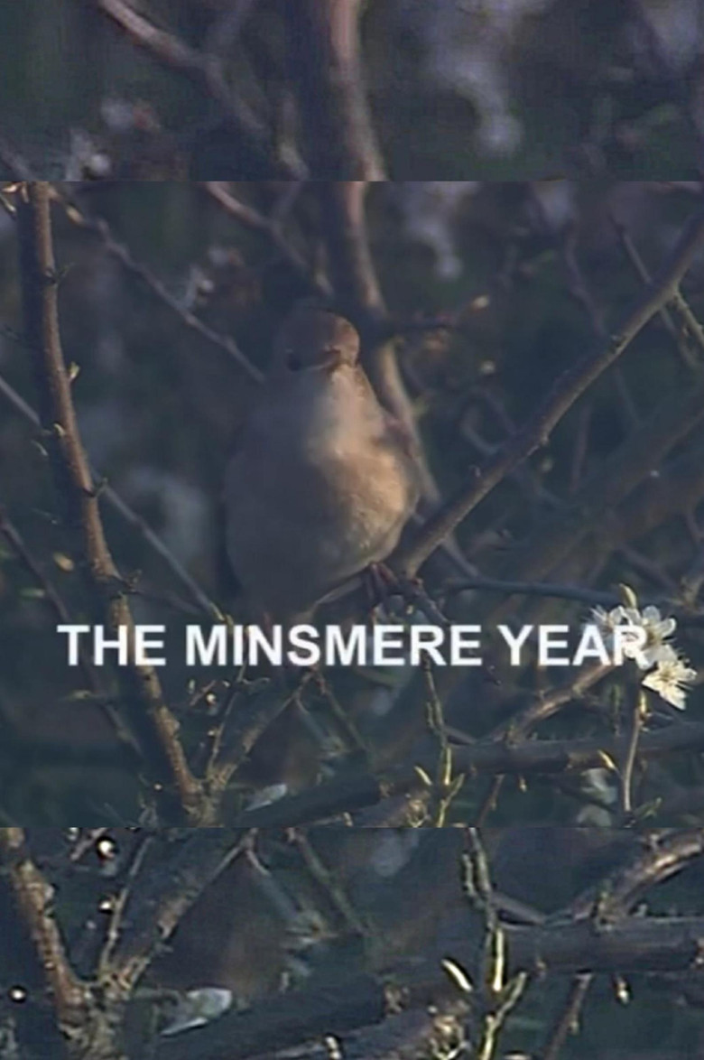 The Minsmere Year poster background