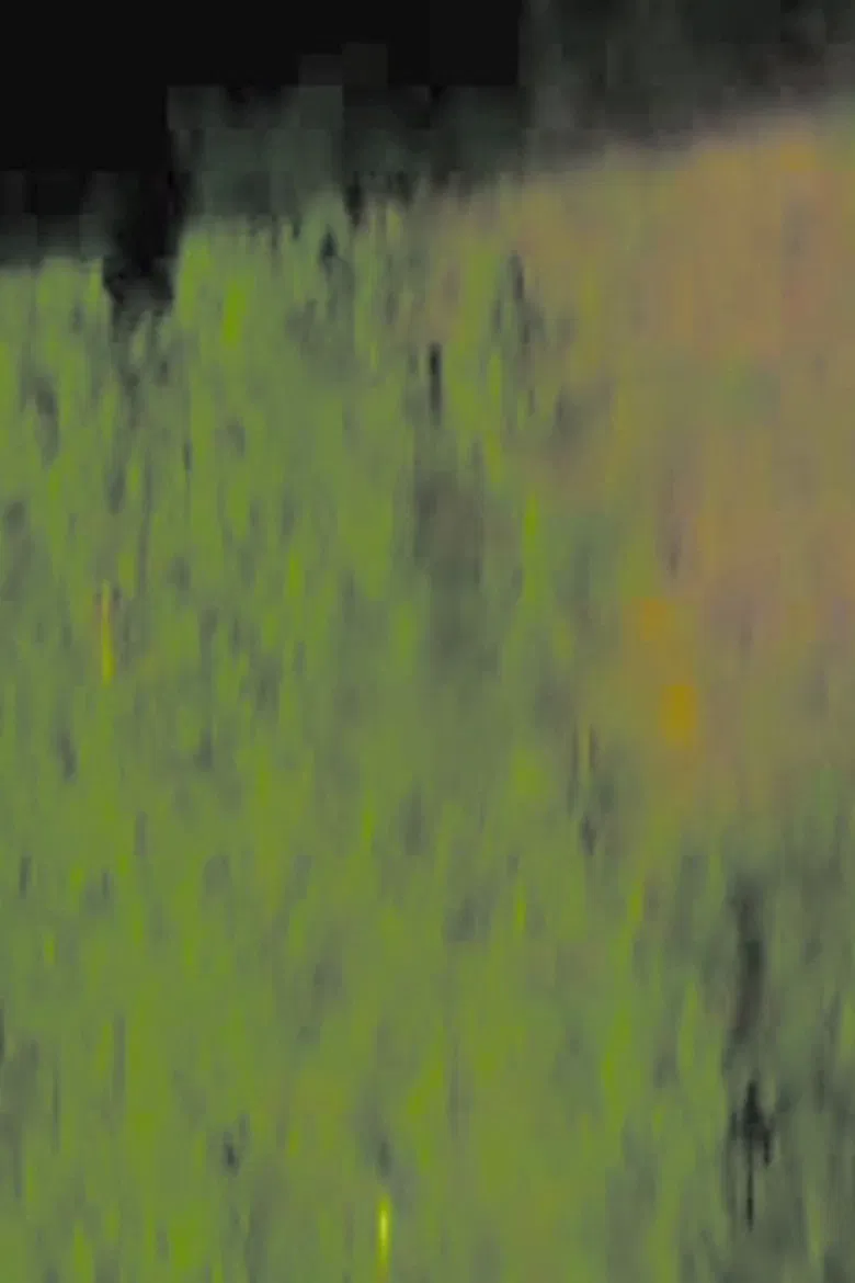 N NN N NN poster background