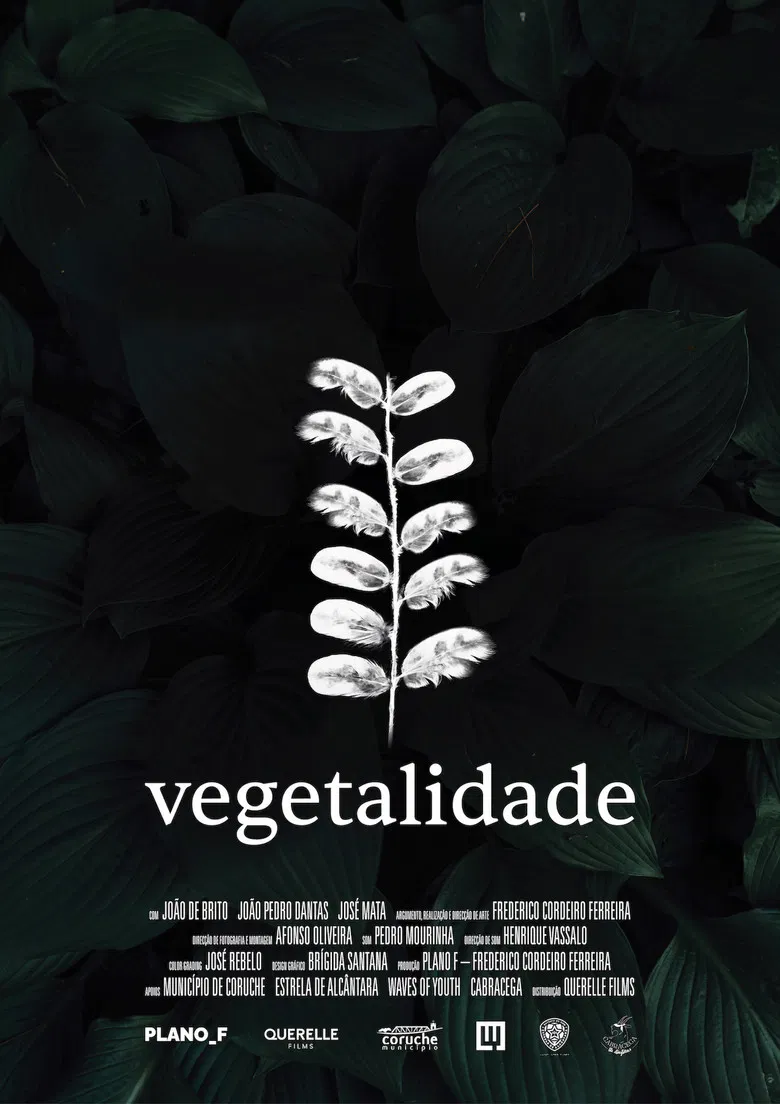 Vegetalidade poster background