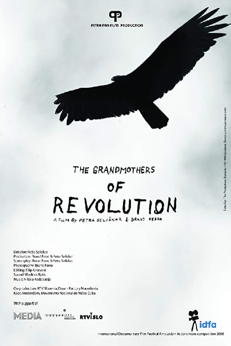 The Grandmothers of the Revolution poster background