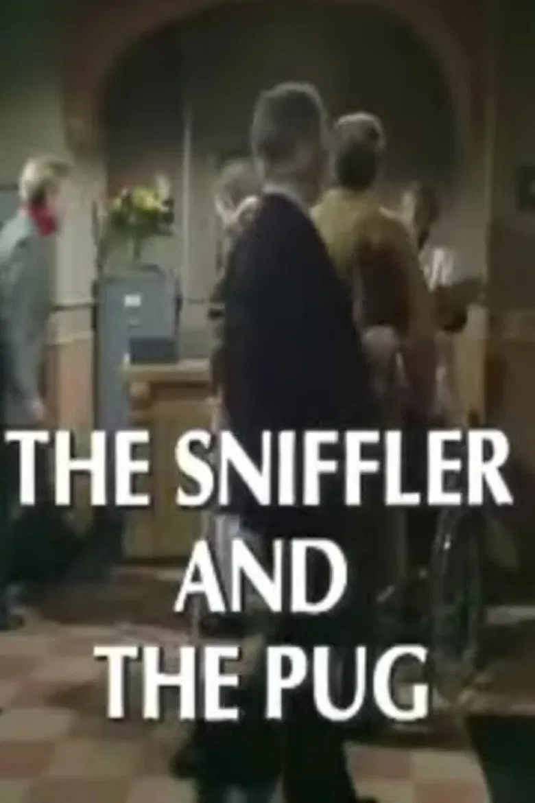 The Sniffler and the Pug poster background