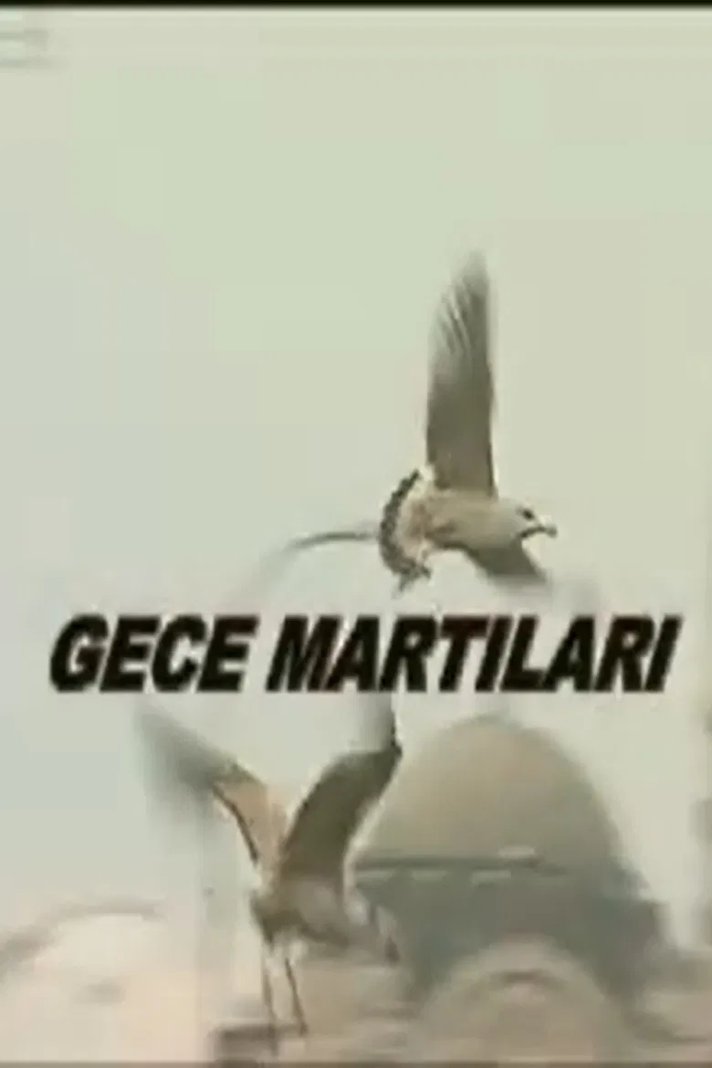 Gece Martıları poster background