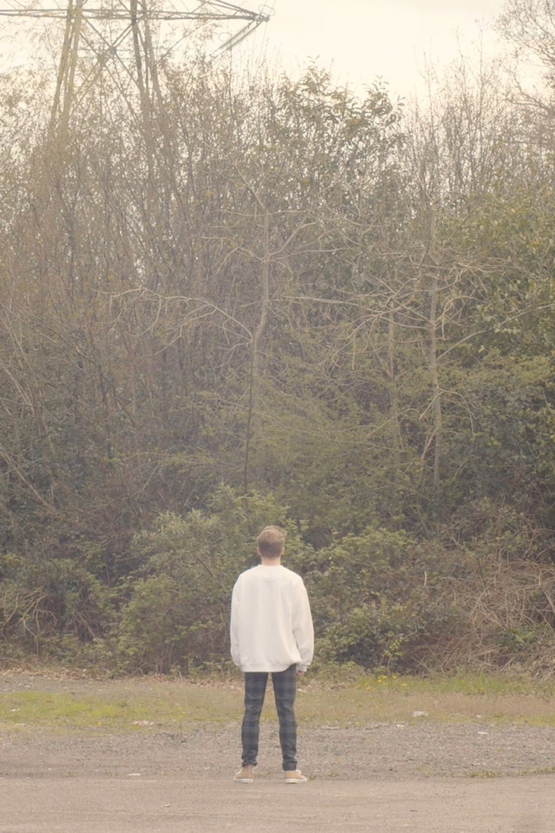 Polar Bear poster background