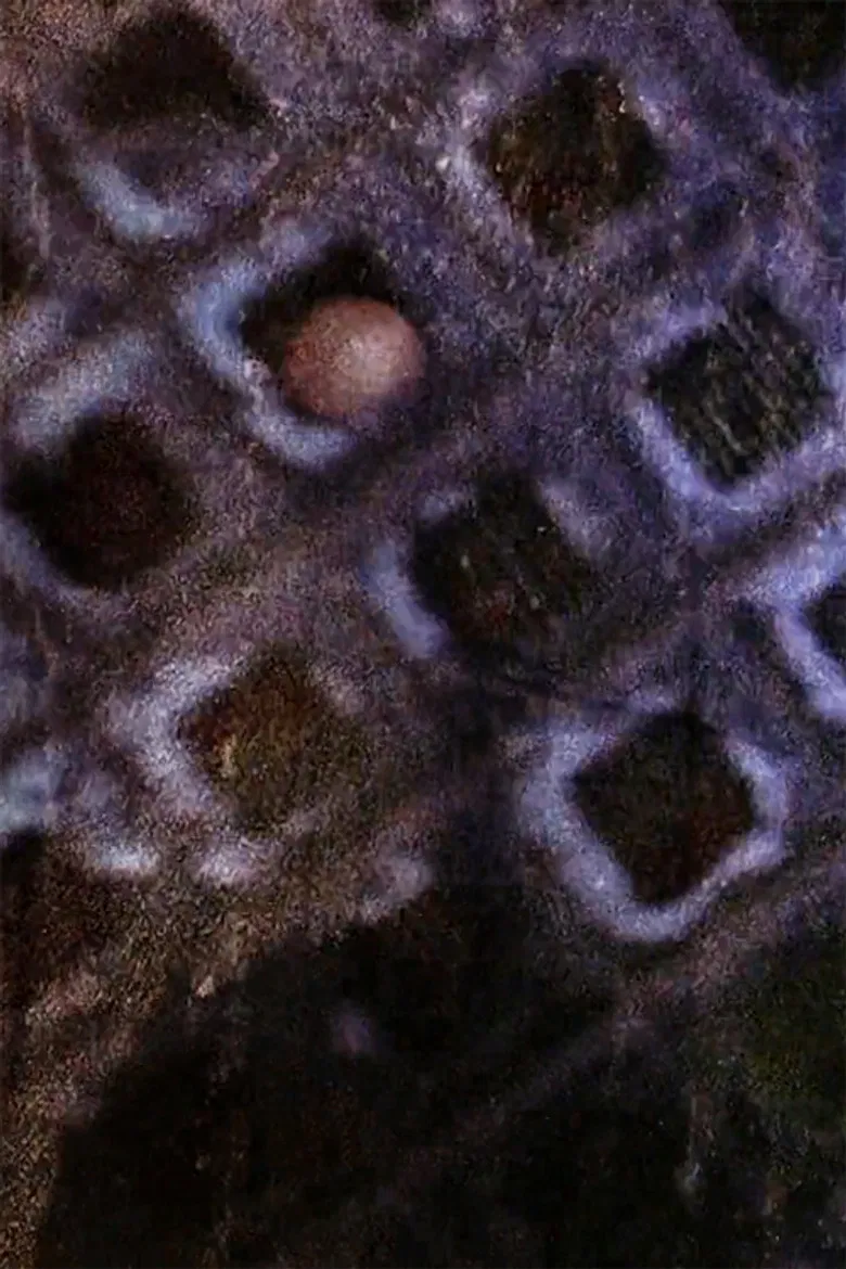 Hotel Bardo poster background