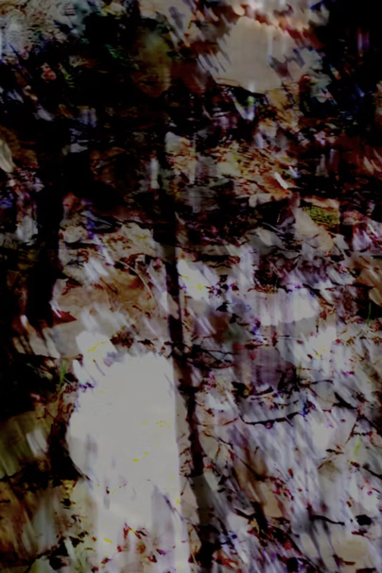 gossamer I poster background