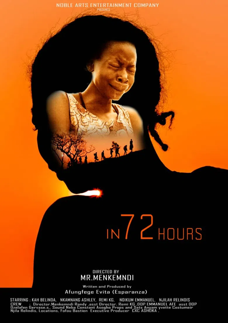 In 72 hours poster background