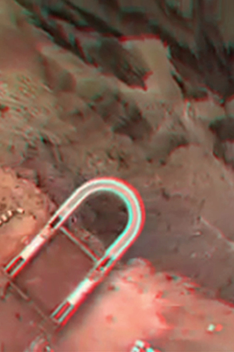 Many a Swan poster background