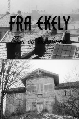 Oslofilm: From Ekely. The city and the artists poster background