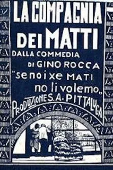 La compagnia dei matti poster background