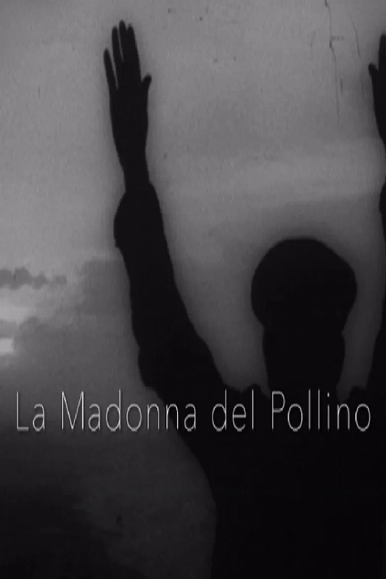 La Madonna del Pollino poster background