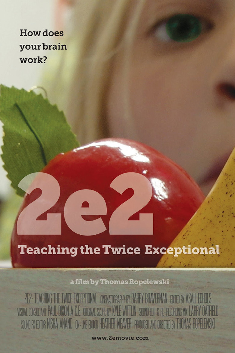 2e2: Teaching the Twice Exceptional poster background