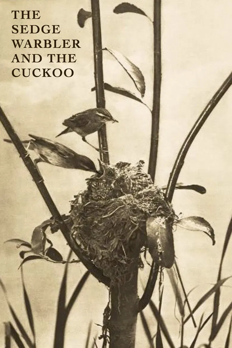 The Sedge Warbler and the Cuckoo poster background