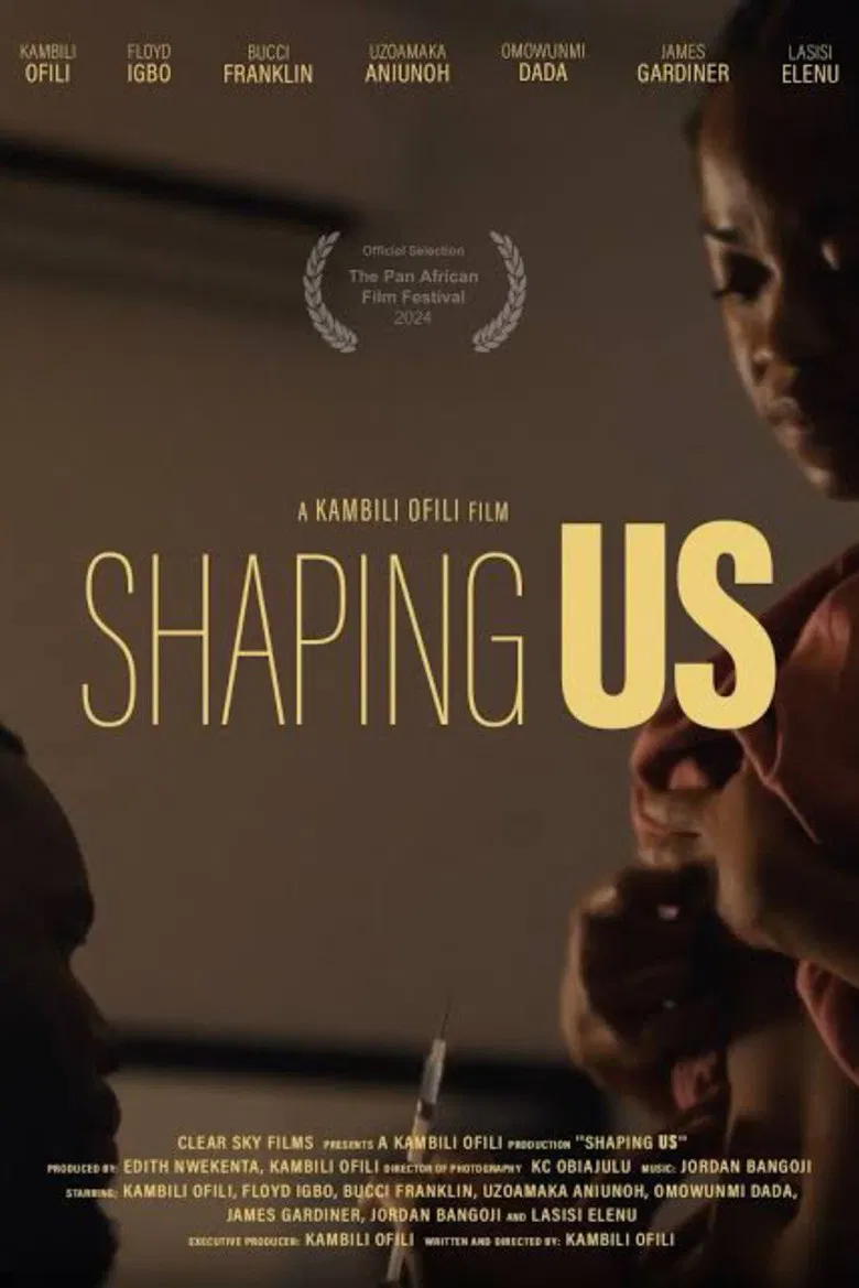 Shaping Us poster background