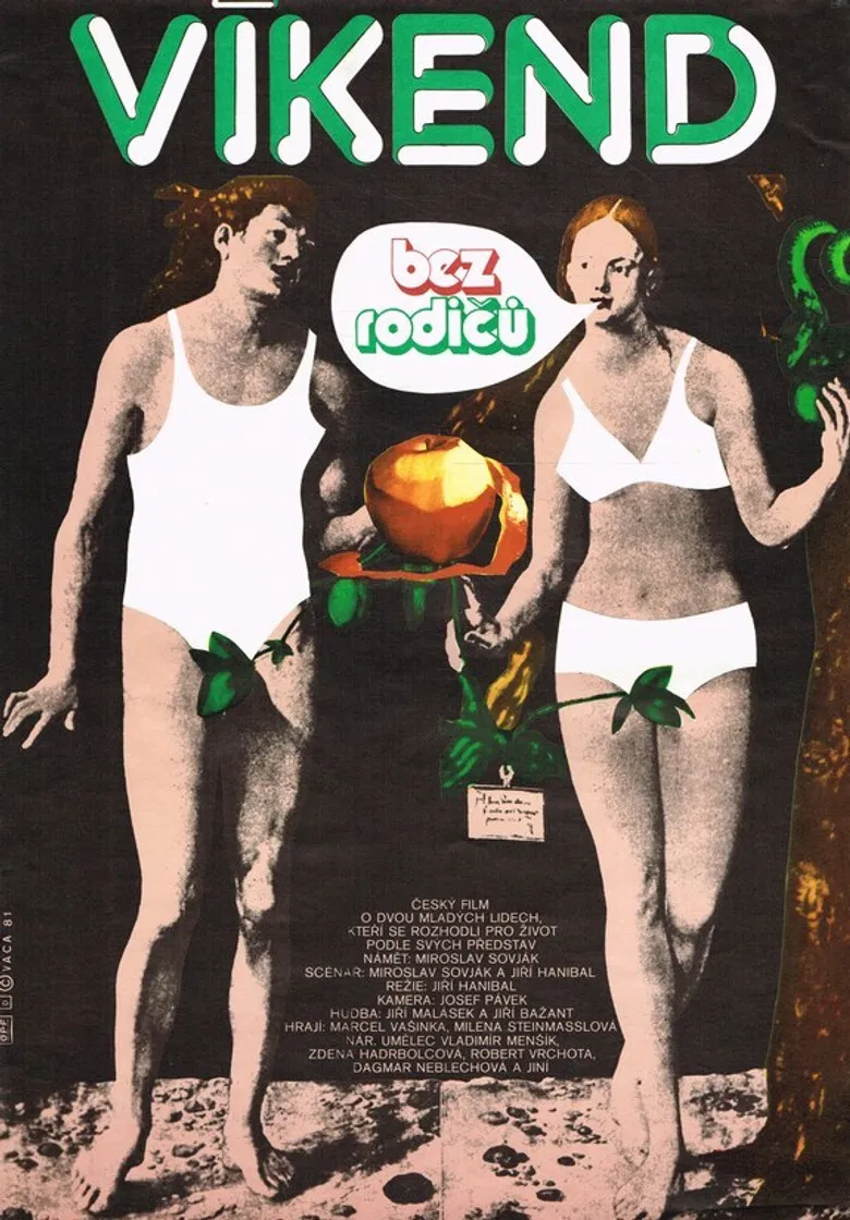 Víkend bez rodičů poster background