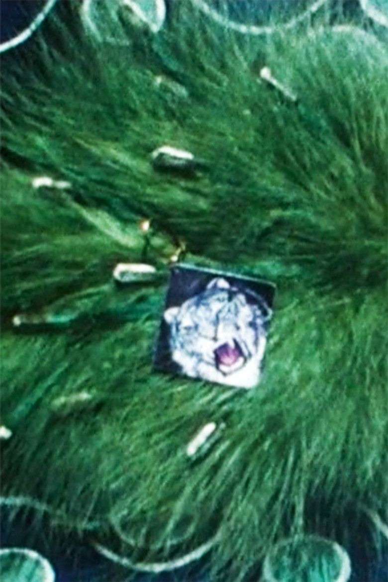 Feather-Arrangement poster background