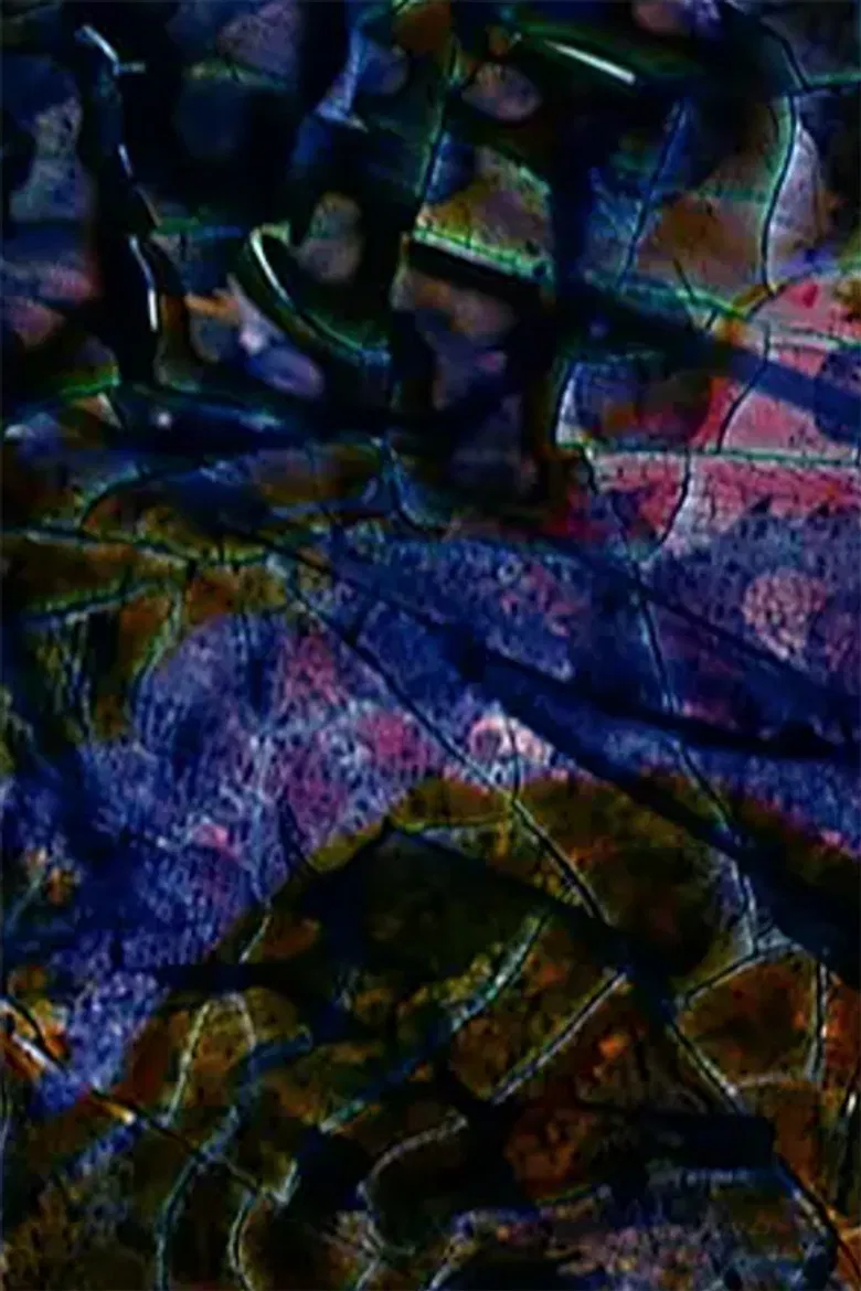 Neti Neti (Part III) poster background