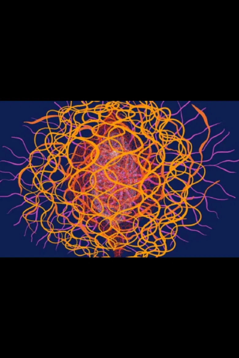 June poster background