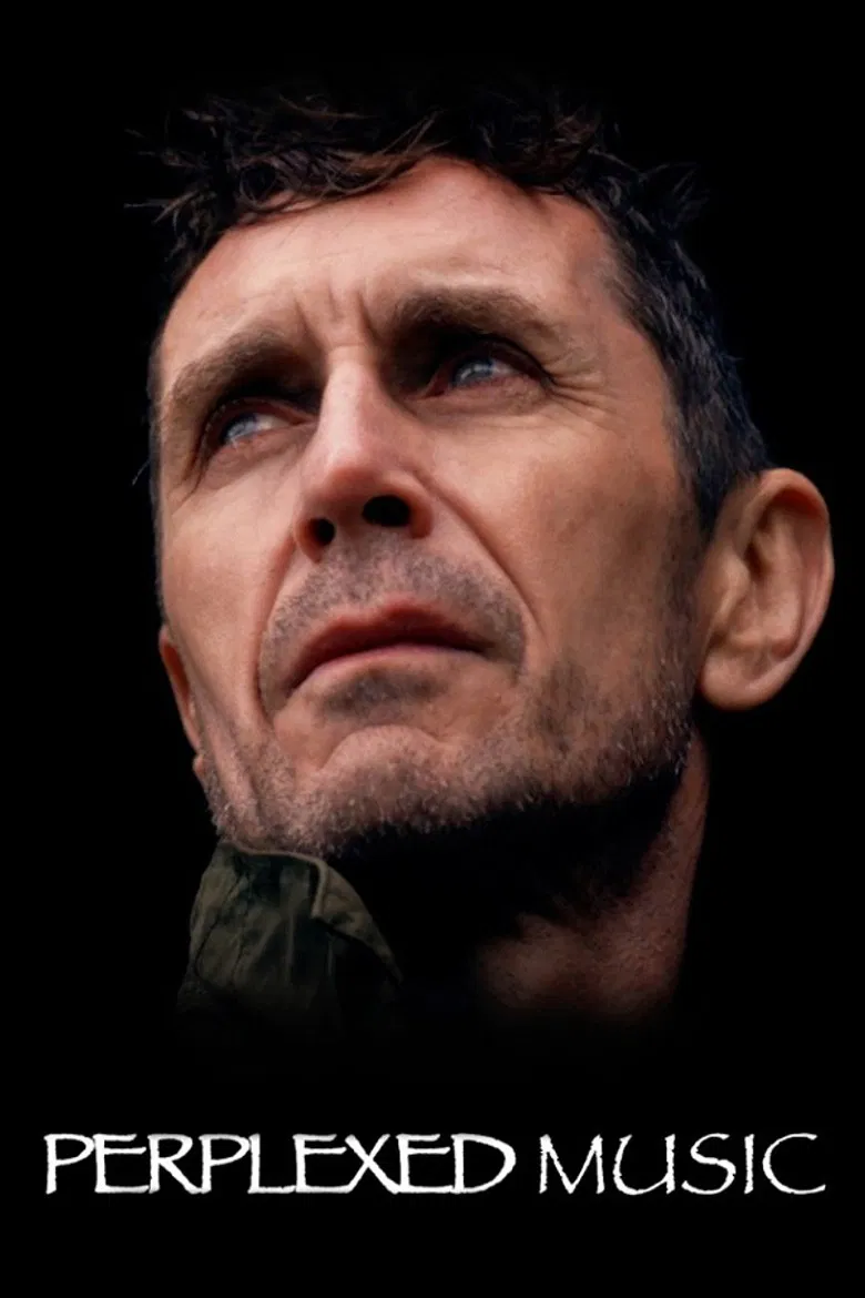 Perplexed Music poster background