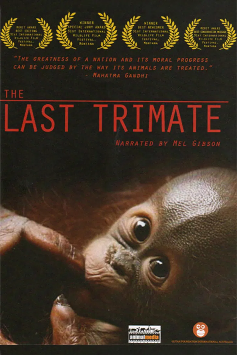 The Last Trimate poster background