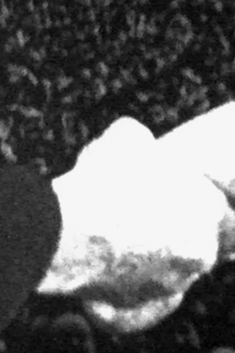 Mietersolidarität poster background