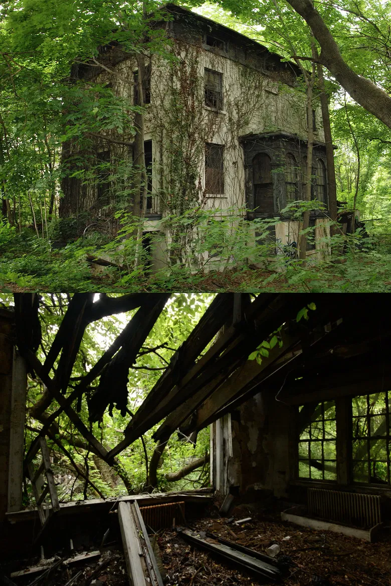 Urban Growth poster background