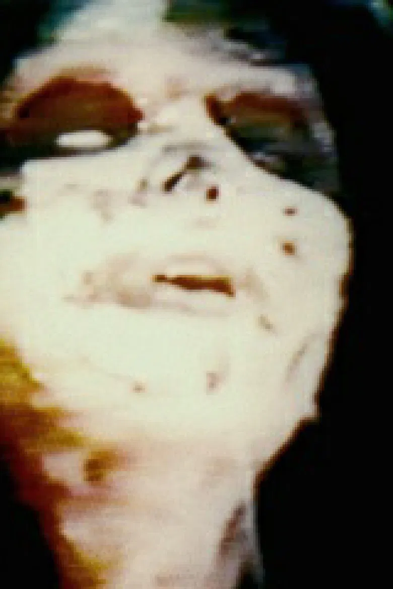 The Shifters poster background