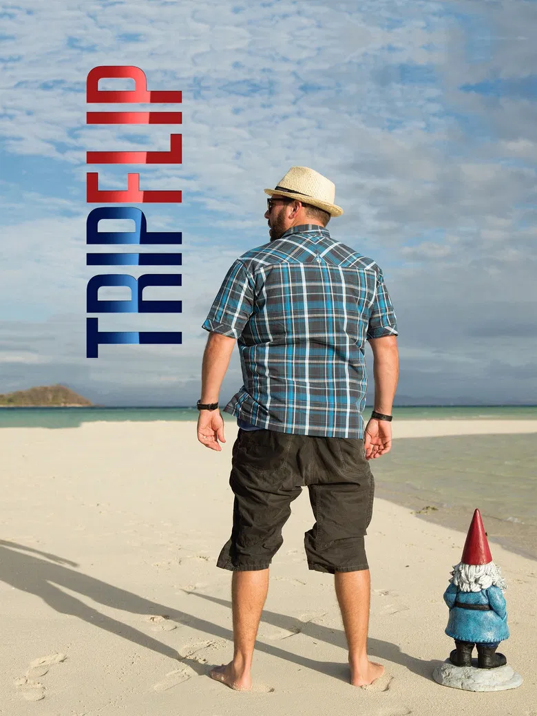 Trip Flip poster background