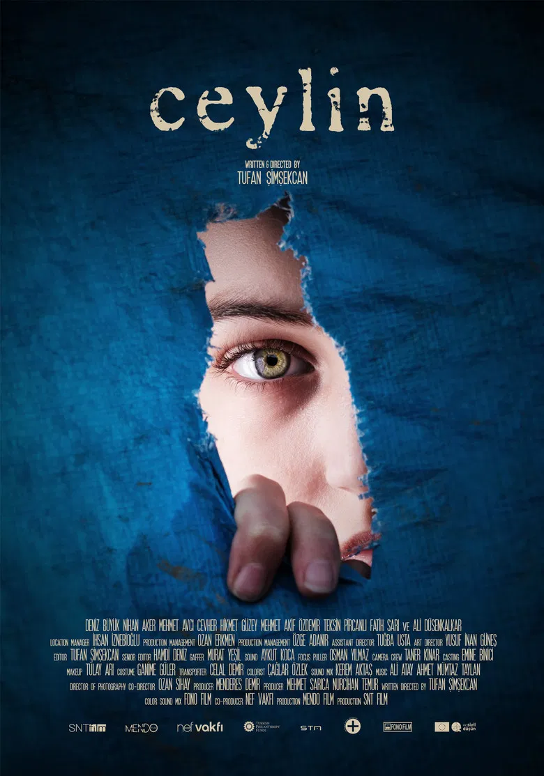 Ceylin poster background