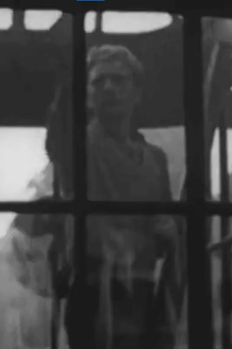 Visages de Paris poster background