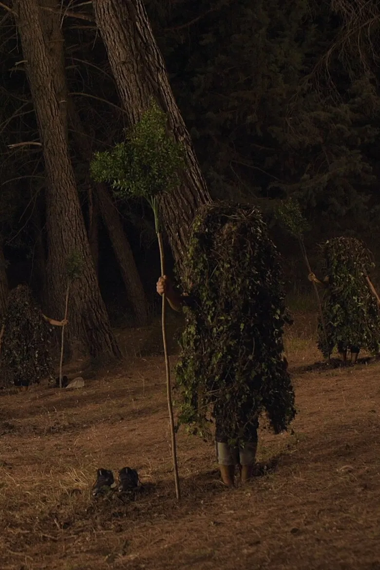 Autotrofia poster background