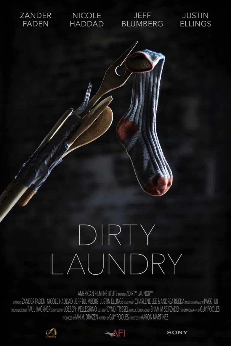 Dirty Laundry poster background