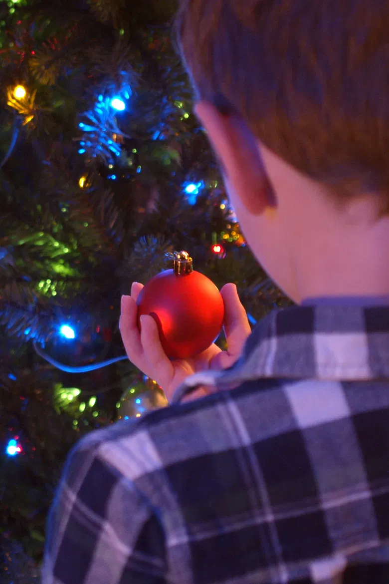Figgy Pudding poster background
