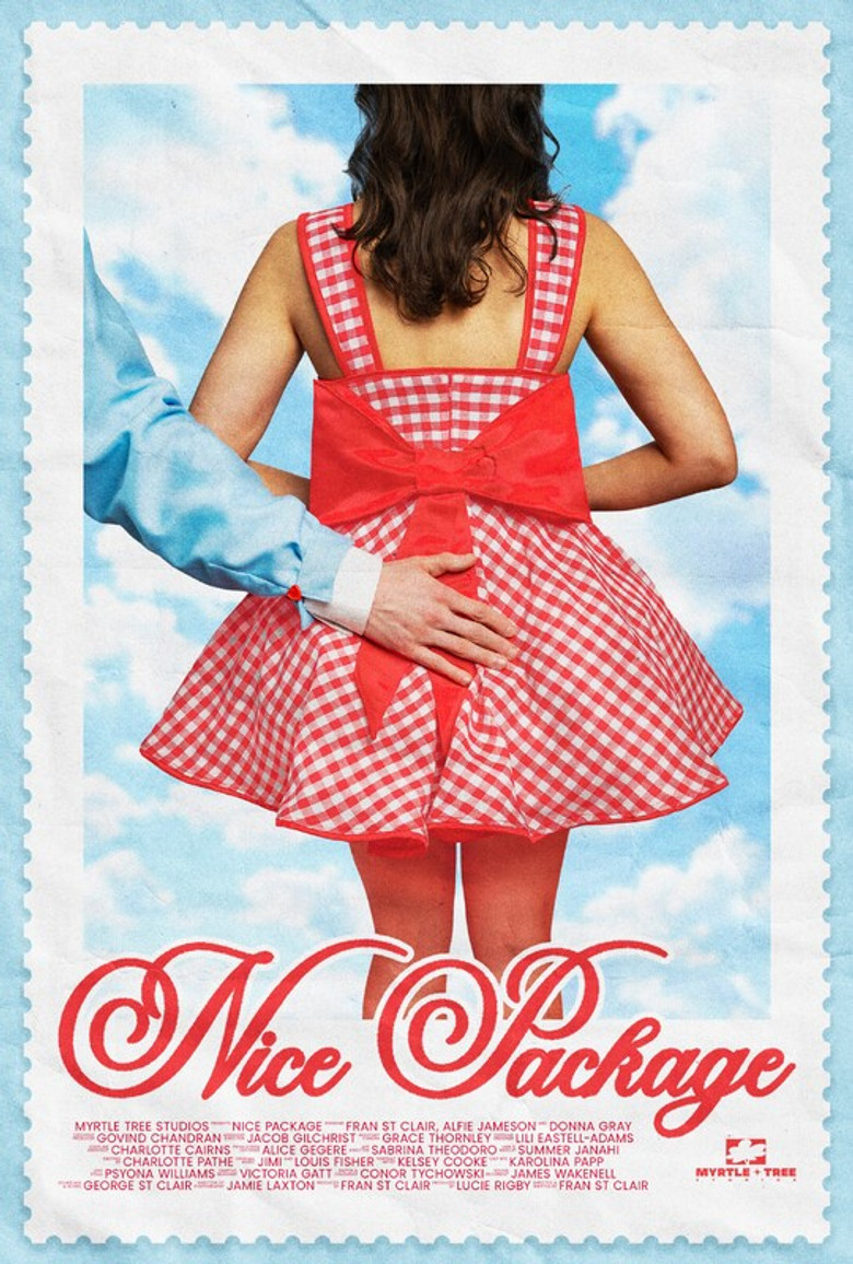 Nice Package poster background