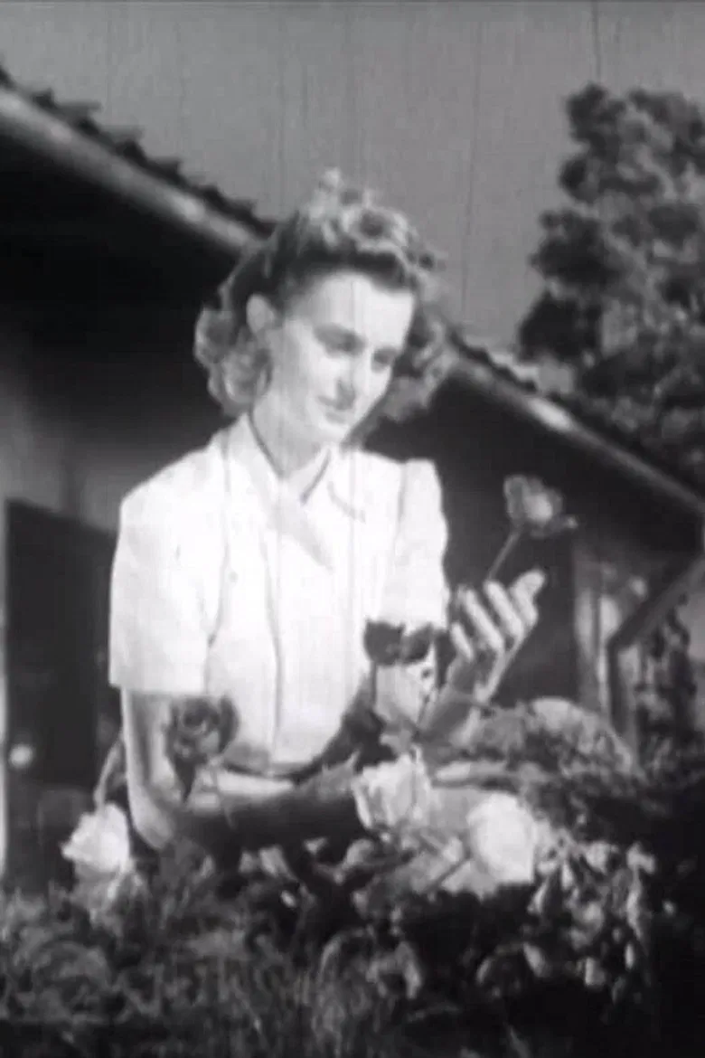 Stay a While! poster background