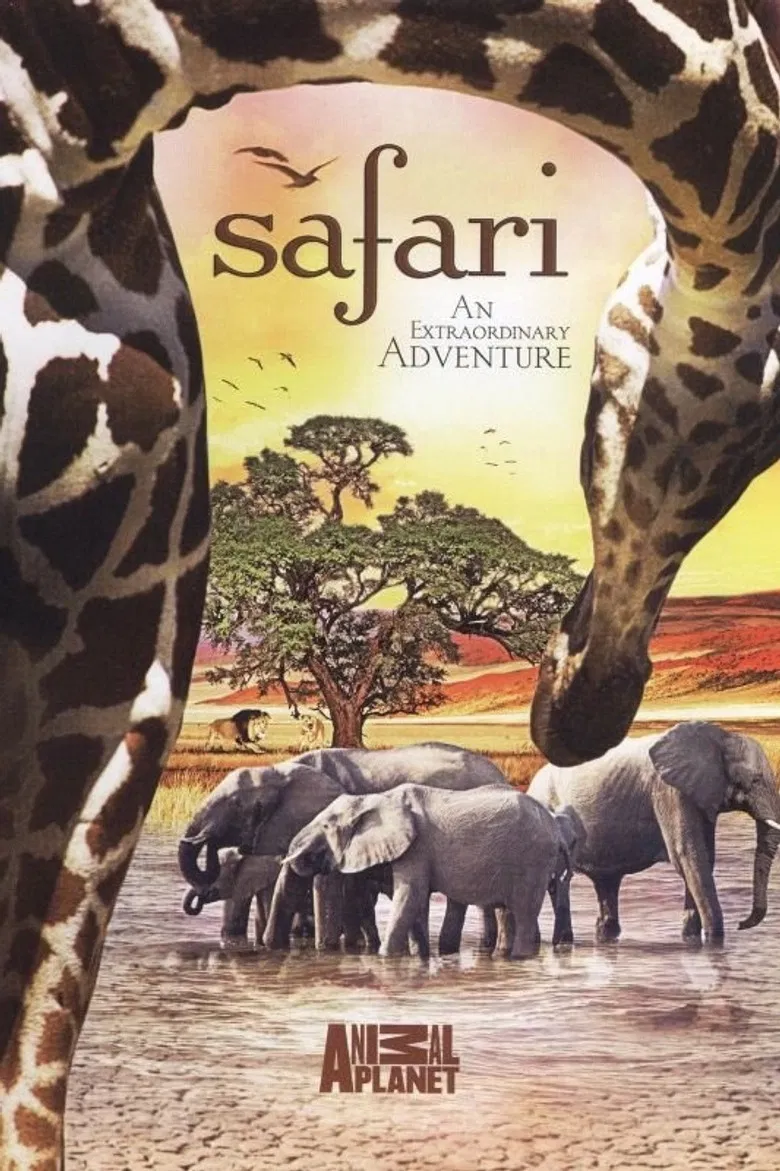 The Last Lion of Liuwa poster background