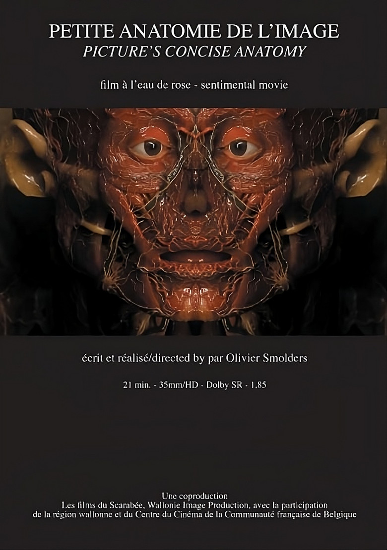 Petite anatomie de l'image poster background