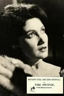 The Switch poster background